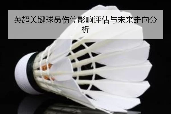 英超关键球员伤停影响评估与未来走向分析
